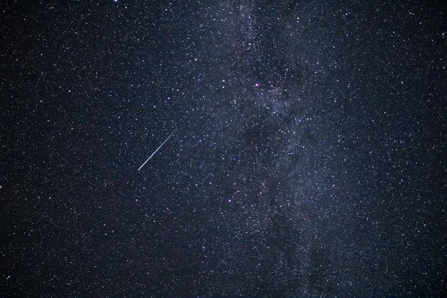 ilustrasi gamma normids yang berasal dari nama rasinya