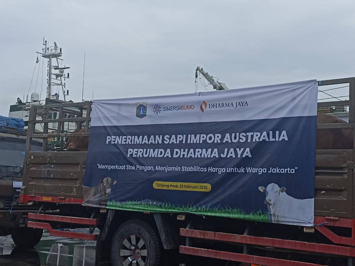 Dharma Jaya Bangun Kandang di Ciangir, Tampung 1.000 Sapi 