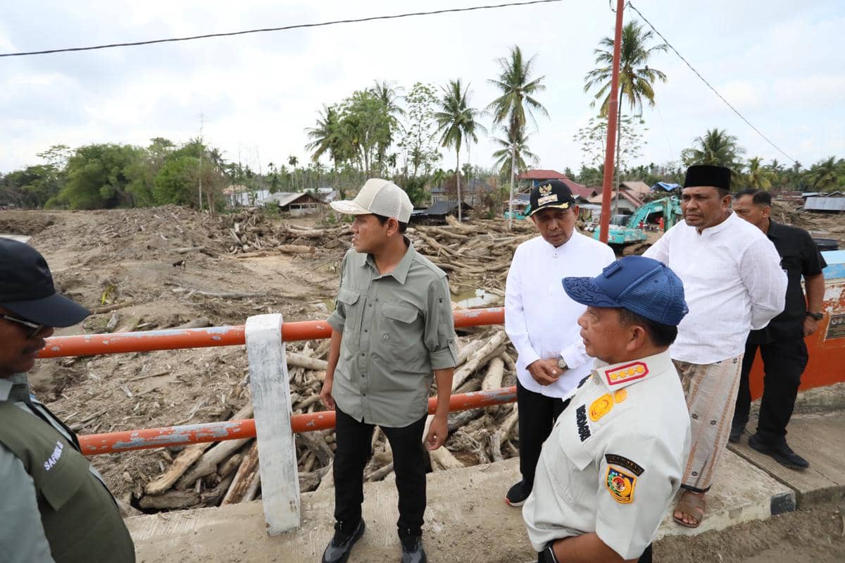 Kayu Gelondongan Masih Menumpuk di Aceh, Menhut Diminta Turun Tangan