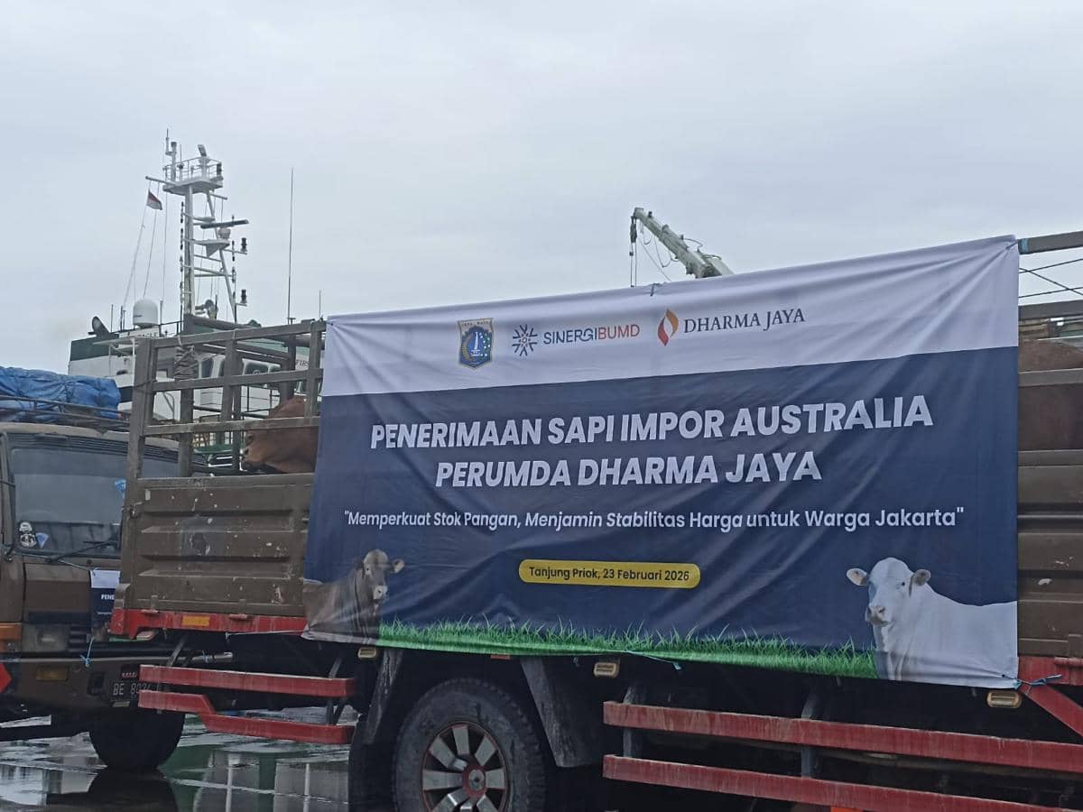 Gubernur DKI Jakarta Pramono Anung menerima sapi impor dari Australia di Pelabuhan Tanjung Priok, Jakarta Utara, Senin (23/2/2026).