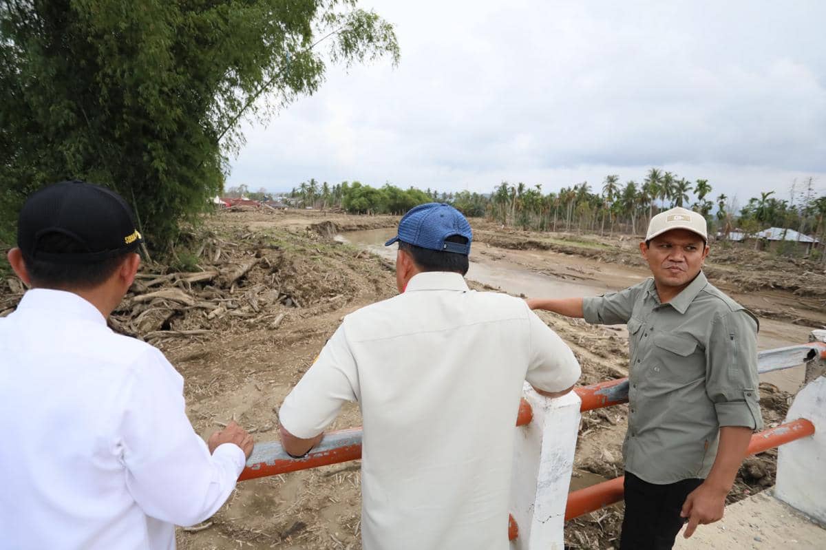 Kayu Gelondongan Masih Menumpuk di Aceh, Menhut Diminta Turun Tangan