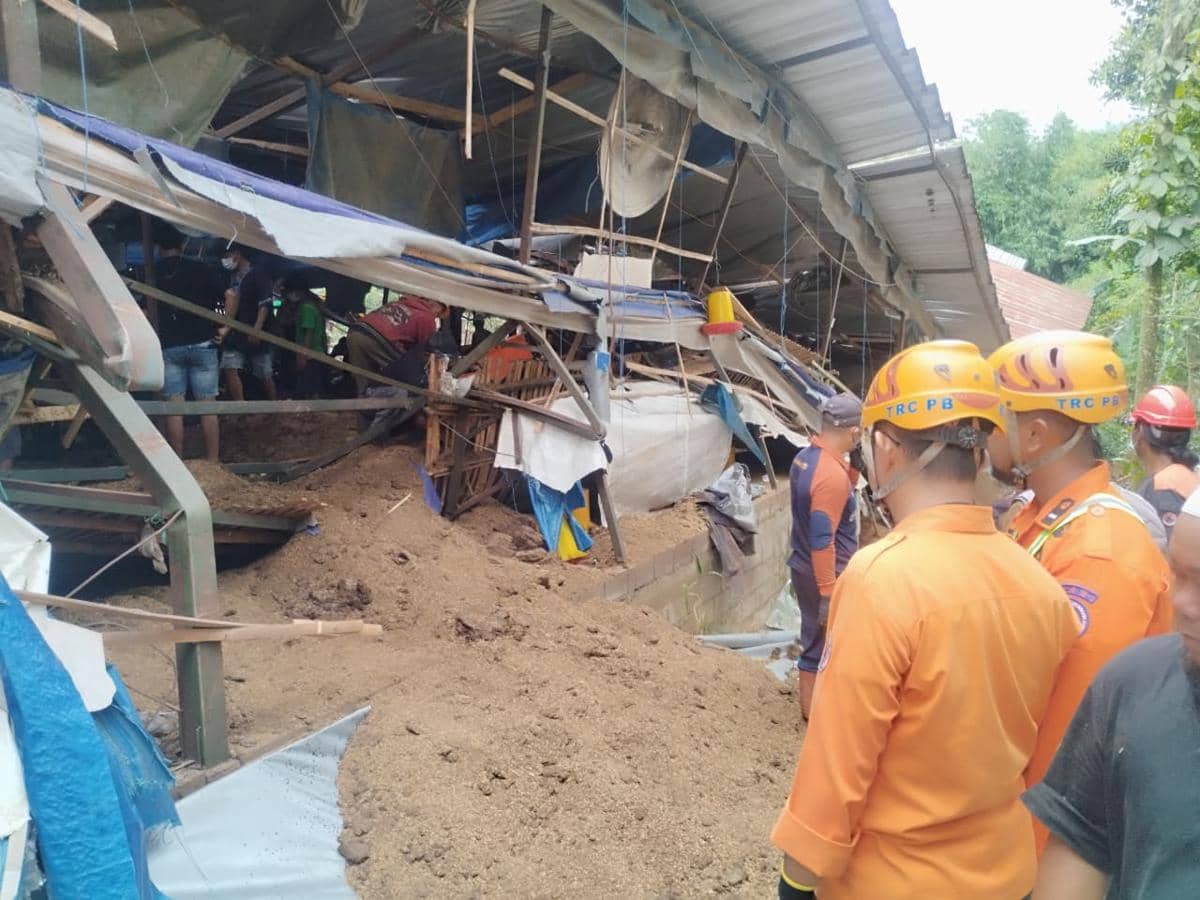 Kandang Ayam di Malang Ambruk, 5 Pekerja jadi Korban