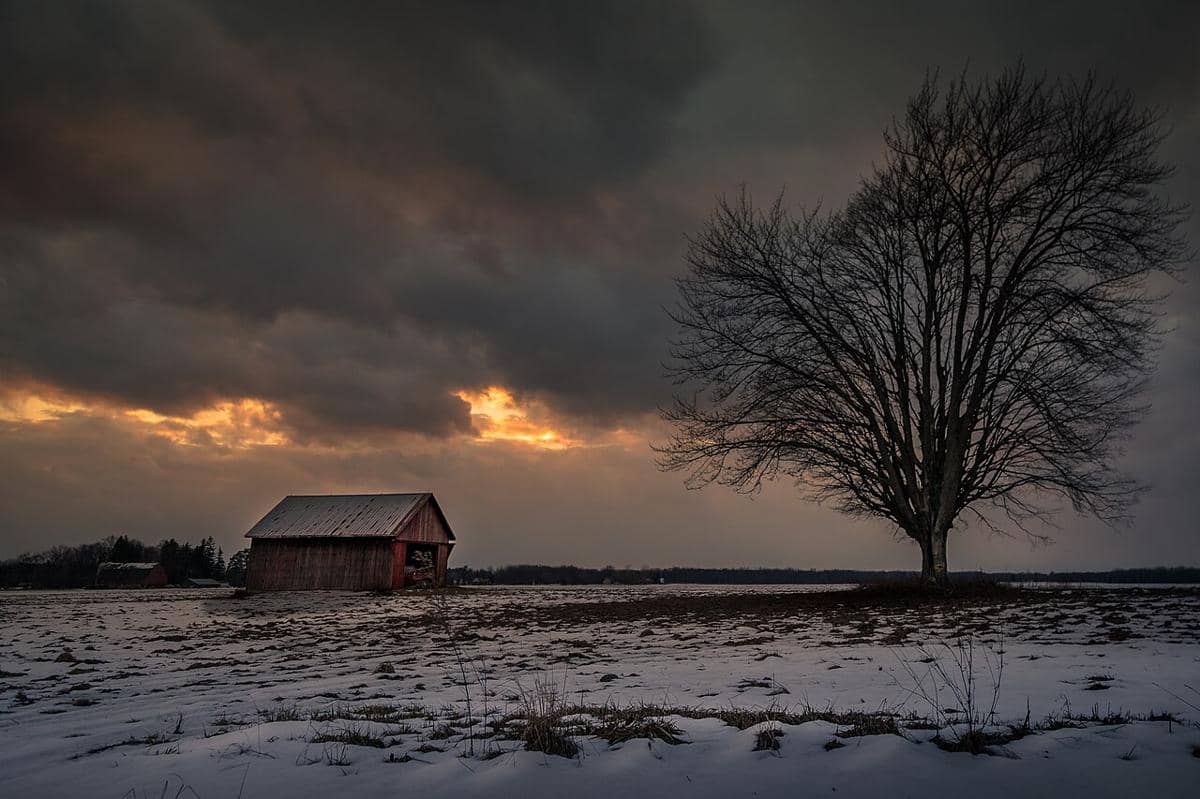 Mengenal Thundersnow, Fenomena Petir di Tengah Badai Salju