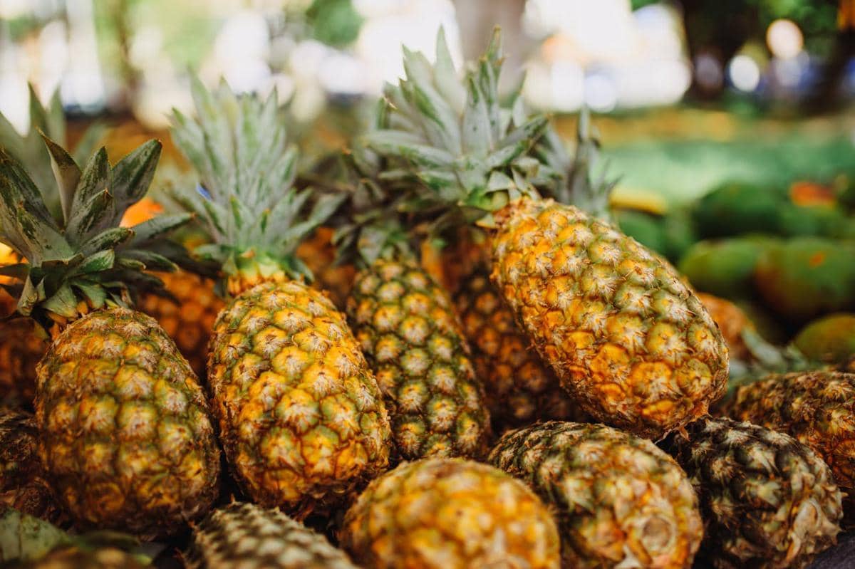 ilustrasi buah nanas