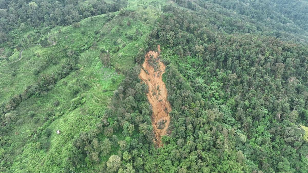 WhatsApp Image 2026-02-23 at 1.19.28 PM.jpeg