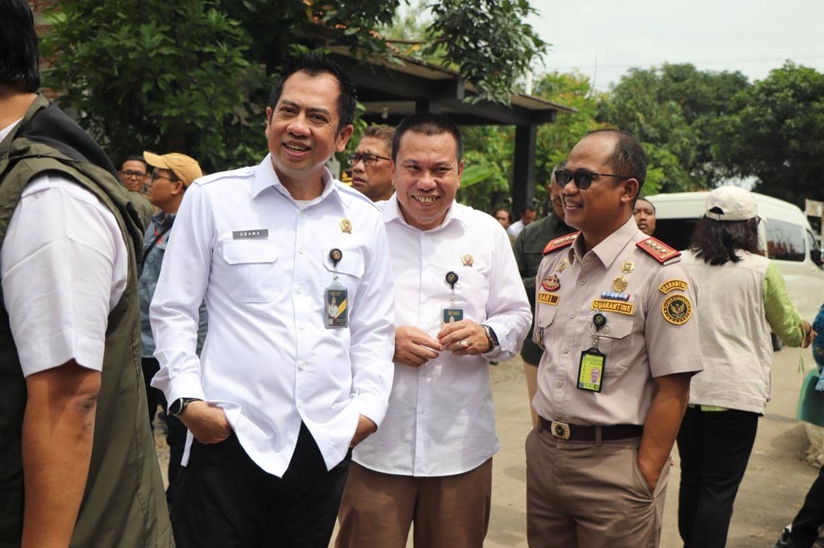 Barantin Awasi Ketat Ekspor Bawang Merah Brebes: Biar Aman Dikonsumsi