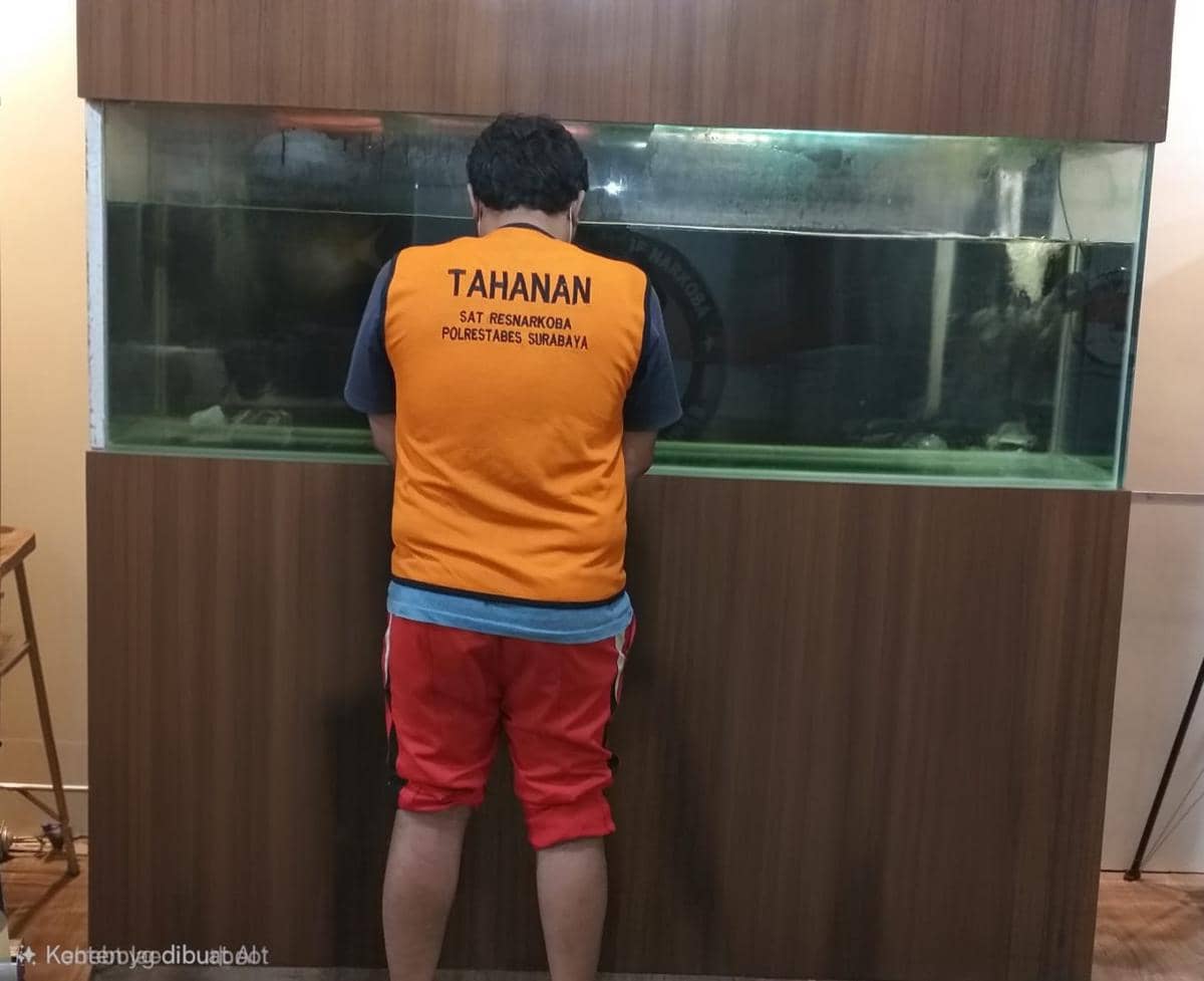 Advokat di Surabaya Terlibat Jaringan Peredaran Ganja