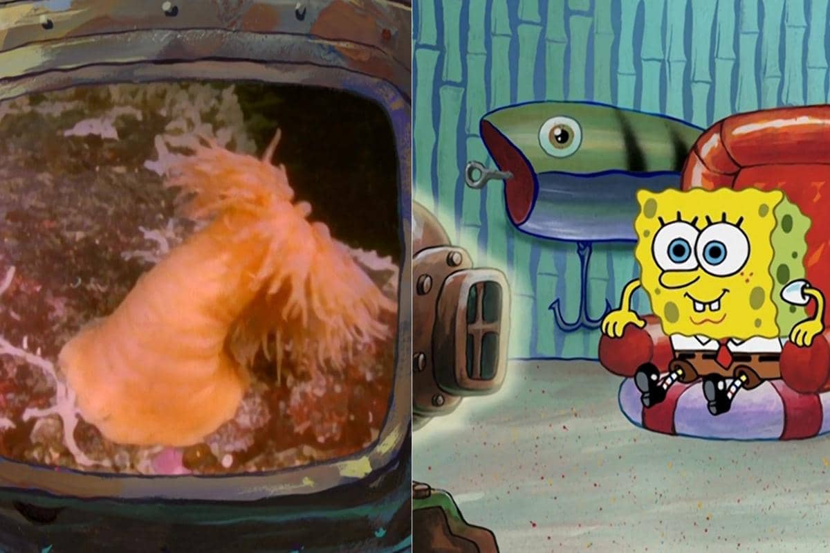 adegan SpongeBob menonton anemon laut menari di TV yang dianggap sebagai parodi seseorang yang menyaksikan konten soft porn