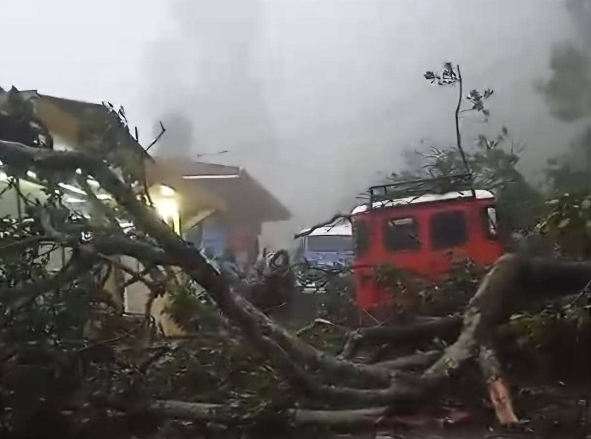 Jalur Bukit Kedaluh Bromo Longsor Akibat Hujan Deras