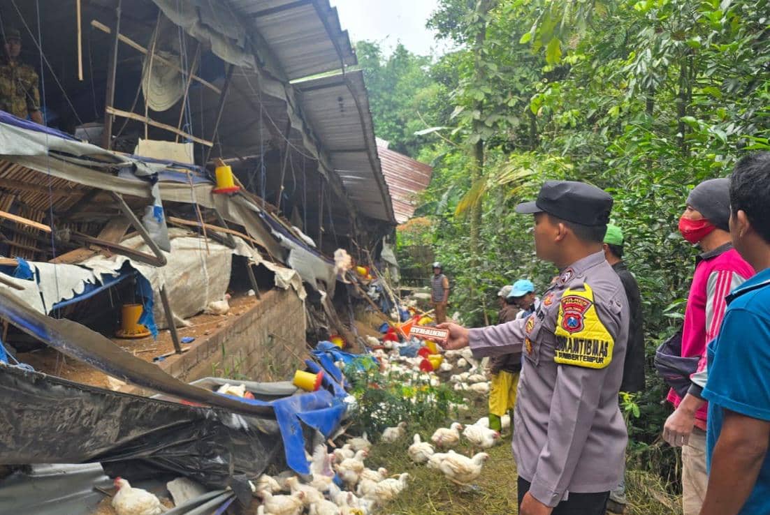 Polisi Turun Tangan Selidiki Kandang Ambruk Tewaskan 2 Pegawai
