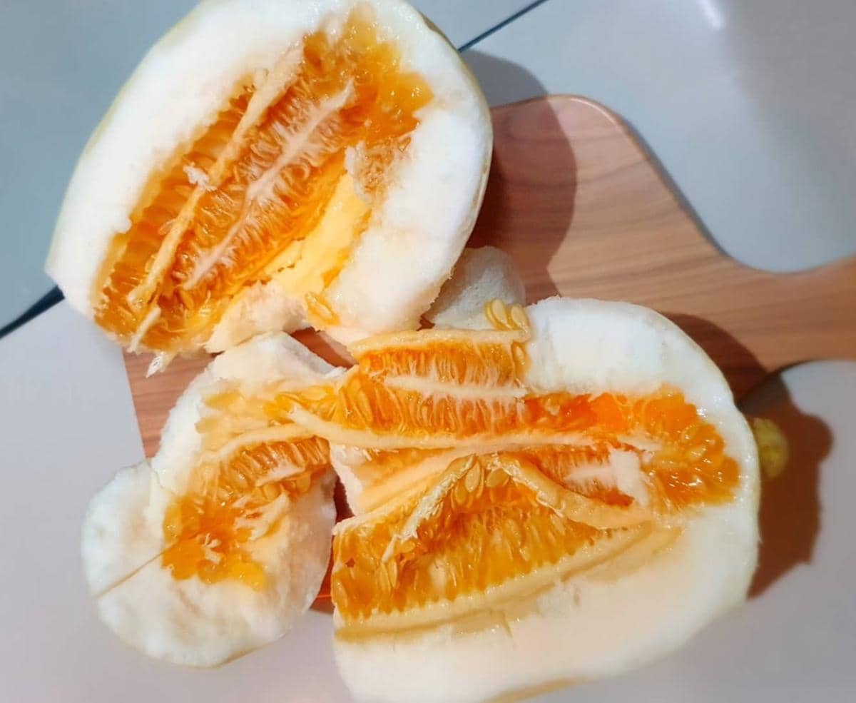 Buah timun suri yang sudah dibelah