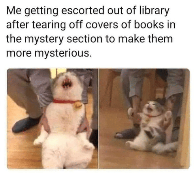 meme kucing dan buku