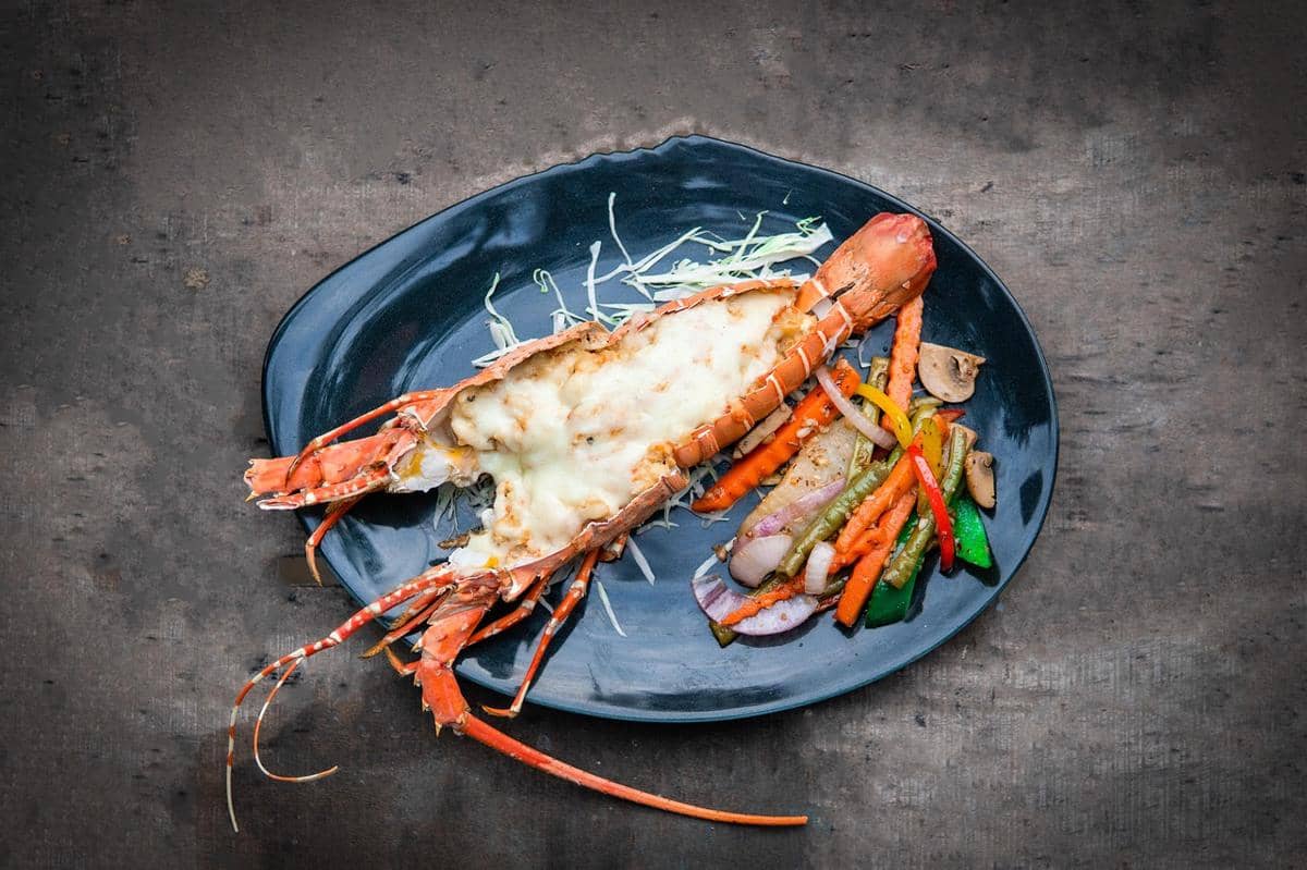ilustrasi lobster