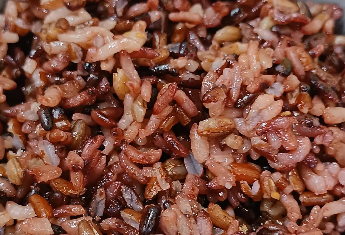 ilustrasi nasi merah