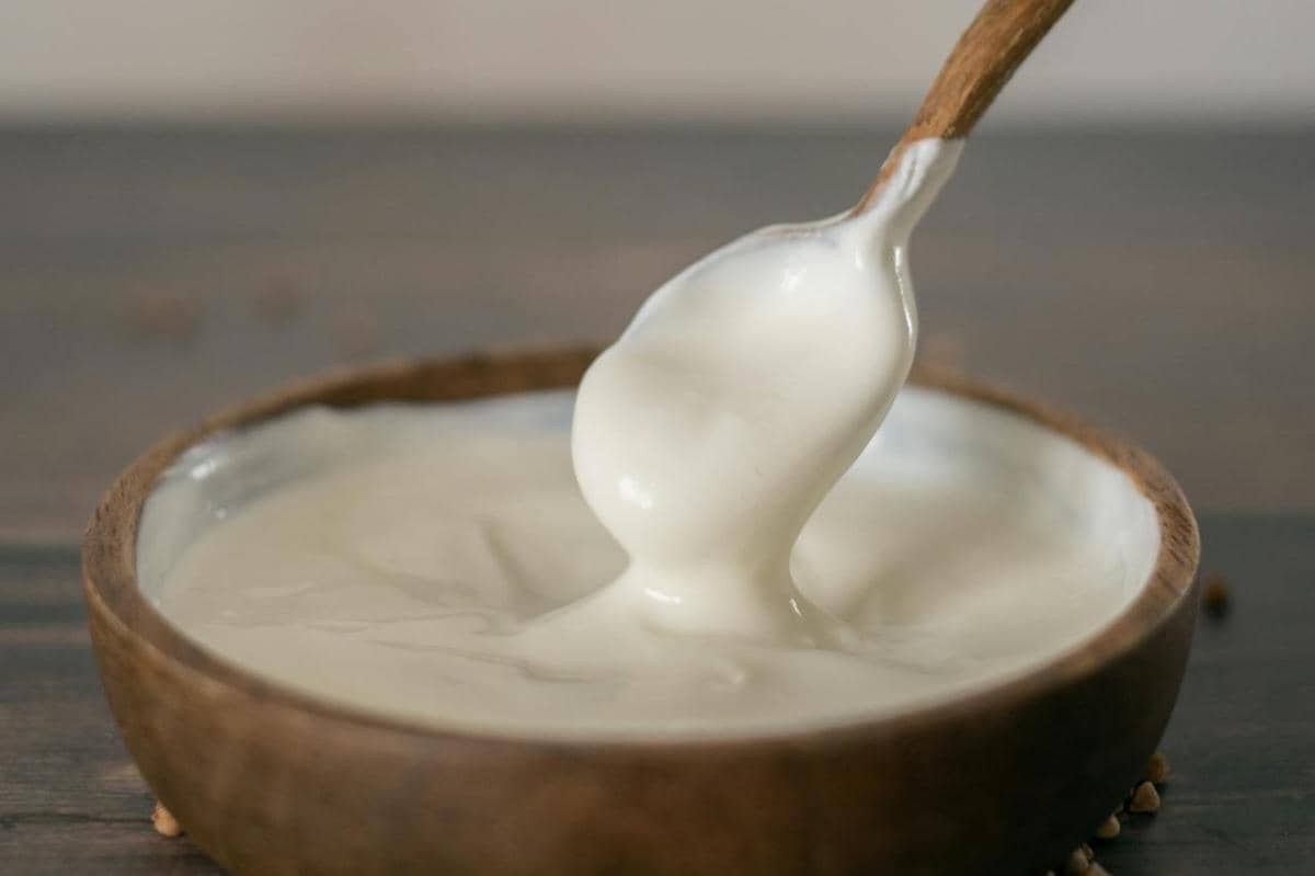 greek yoghurt