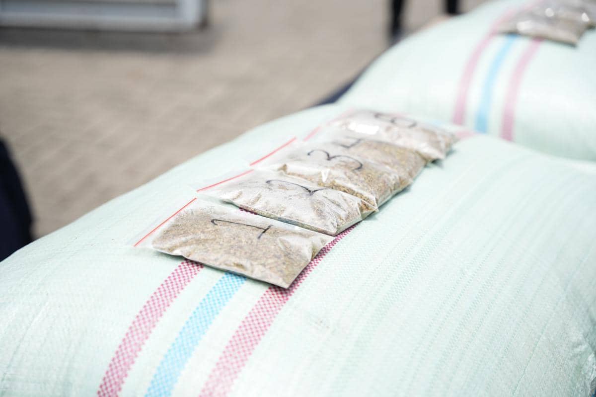 bea cukai, kratom, ekspor ilegal