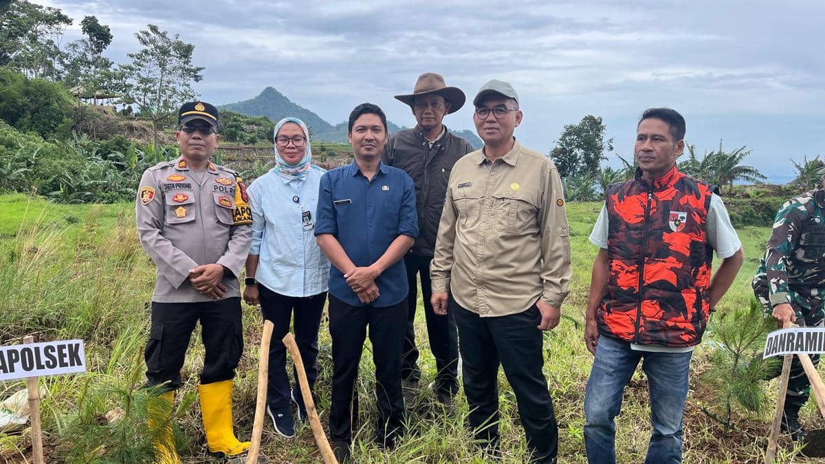 Pemkab Bogor Perluas Penanaman Pinus hingga Perbatasan Cianjur