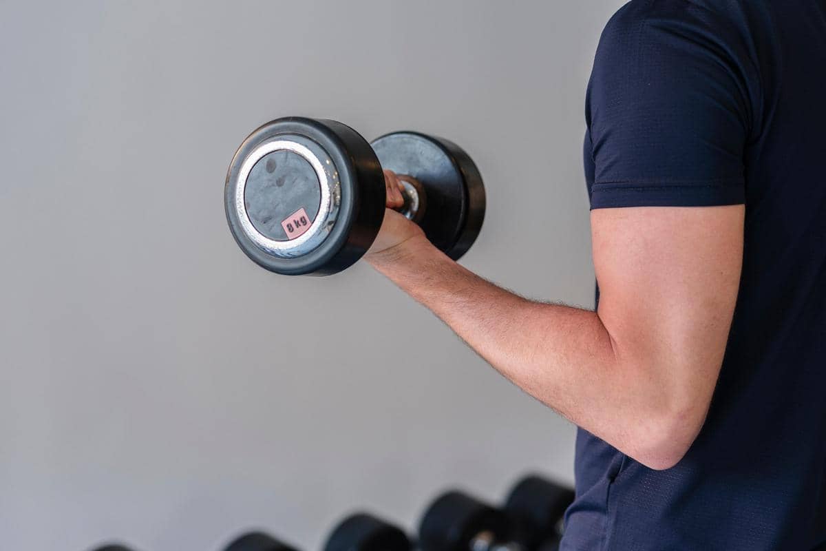 ilustrasi pembentukan otot