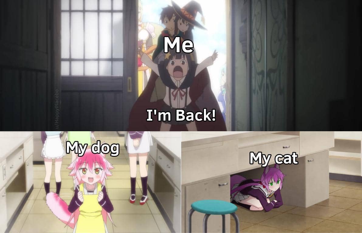 8 Meme Anime Perbedaan Kucing dan Anjing, Kontras Betul