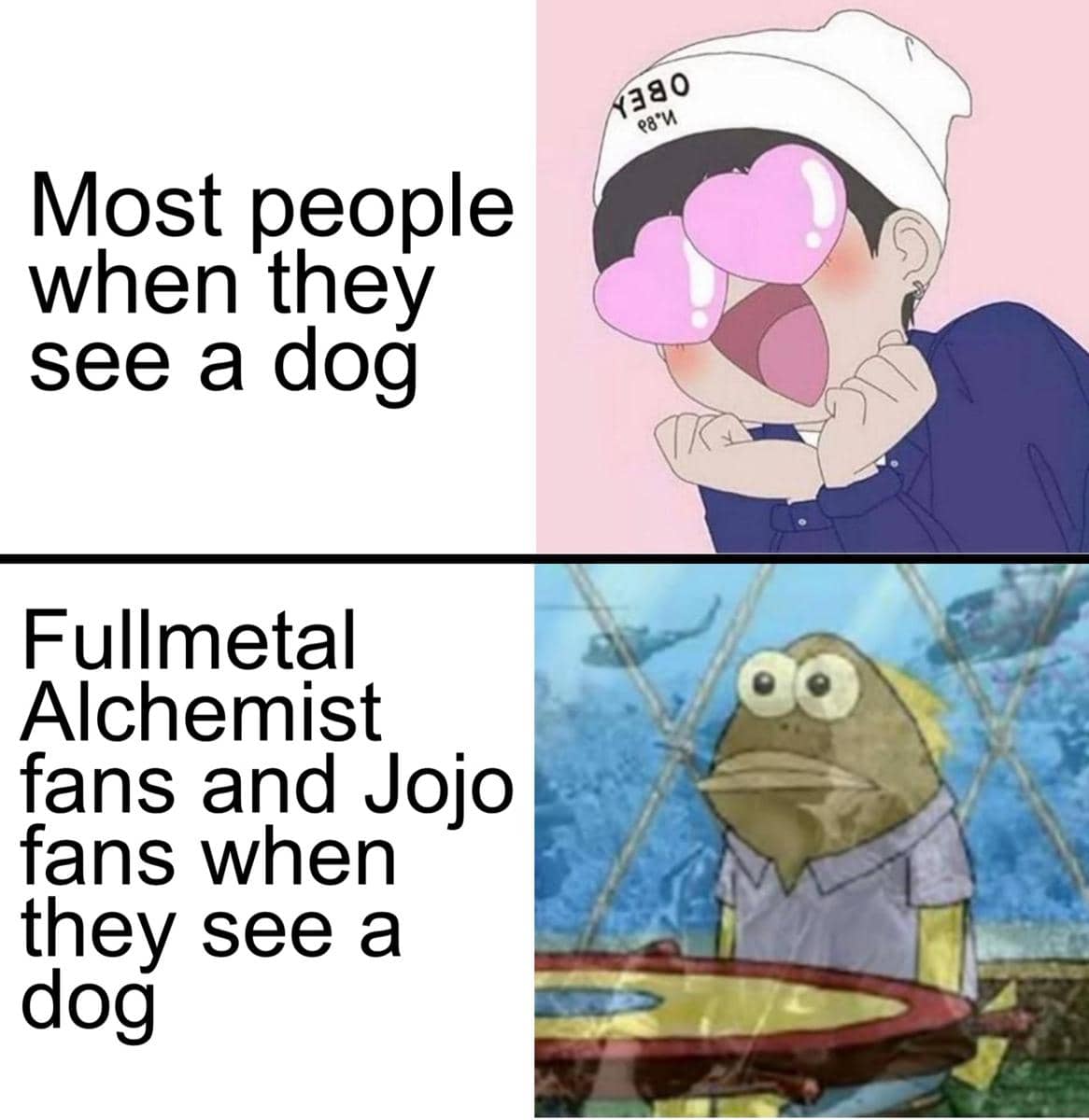 meme anime perbedaan kucing dan anjing