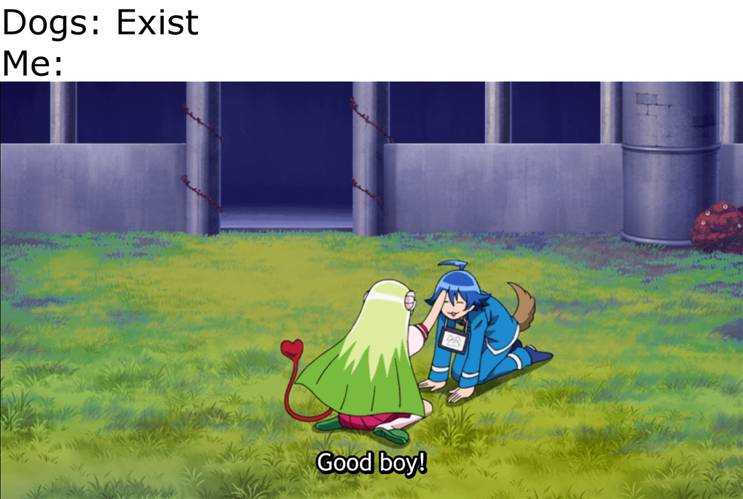 meme anime perbedaan kucing dan anjing