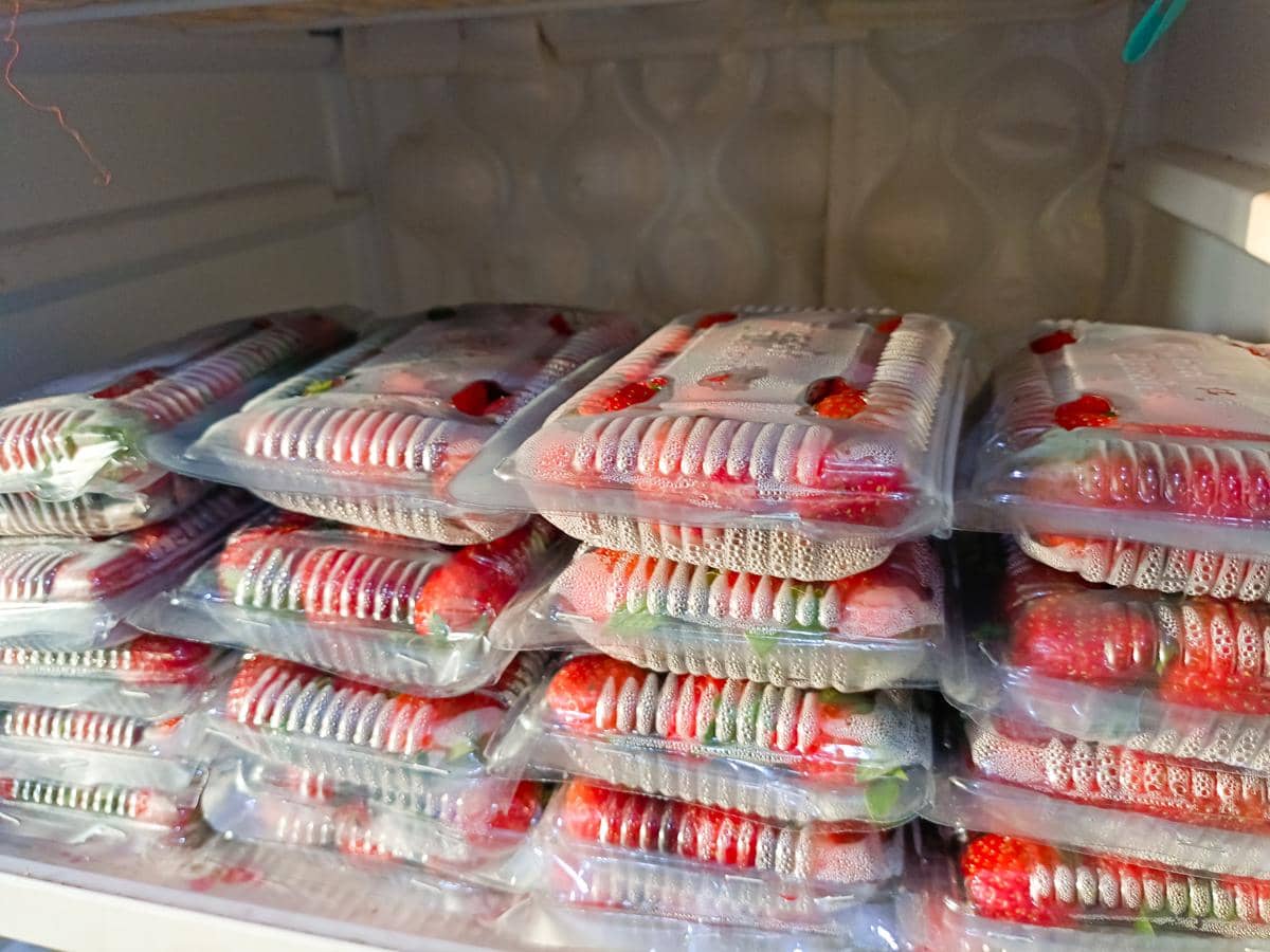 ilustrasi menyimpan buah di dalam feezer