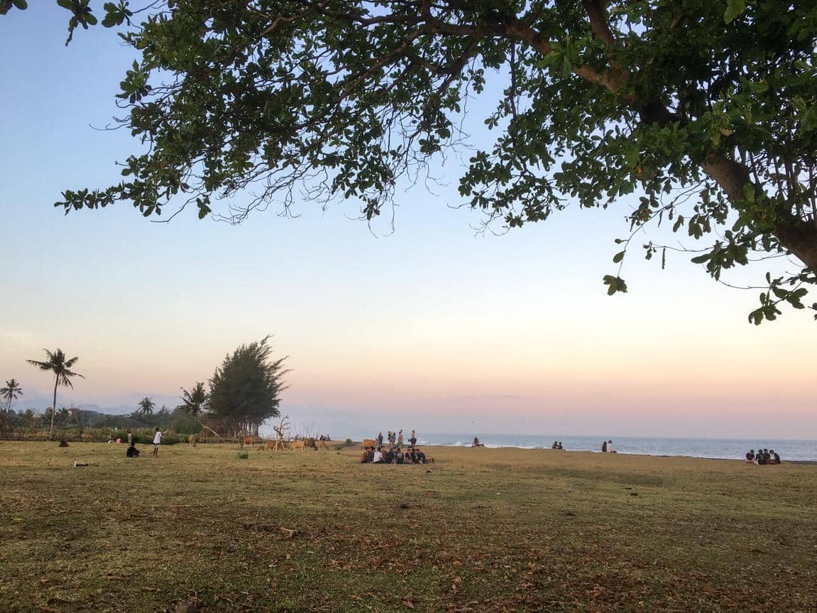 rerumputan luas di tepi Pantai Pering (dok.pribadi/Natalia Indah)