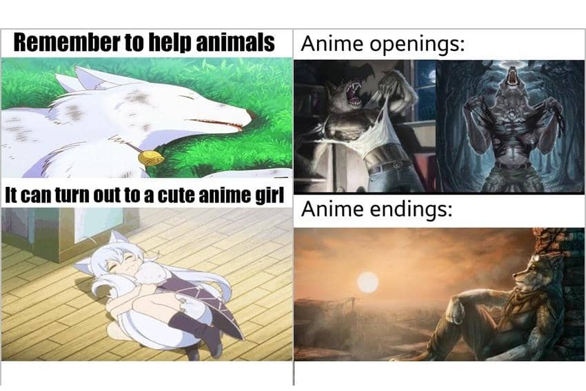 8 Meme Anime tentang Serigala, kok Malah Jadi Waifu?