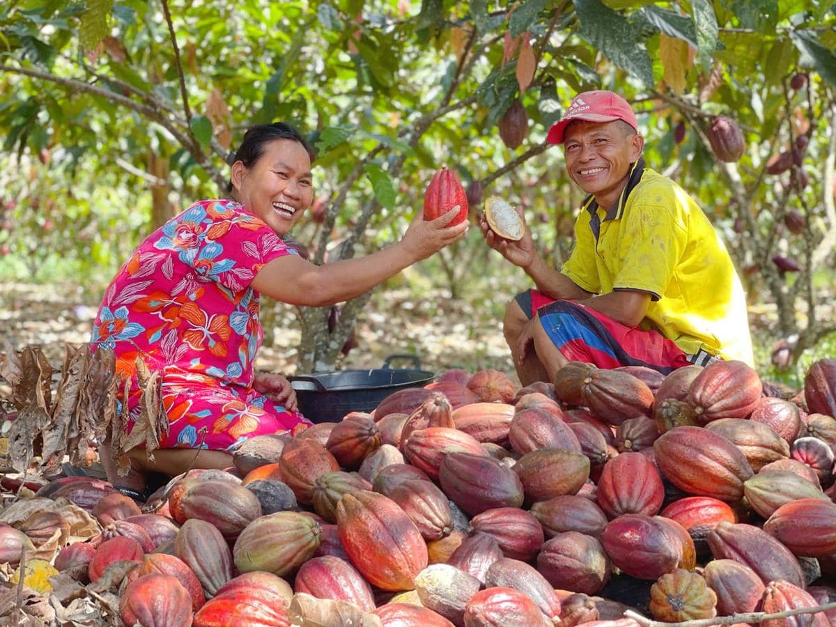 Mars Luncurkan Impact Fund, Gelontorkan $3 Juta untuk Petani Kakao