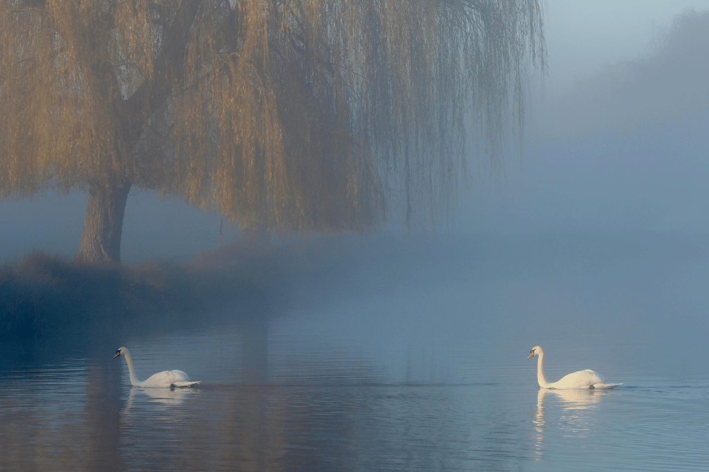 [PUISI] Lantunan Isyarat Tanpa Suara 