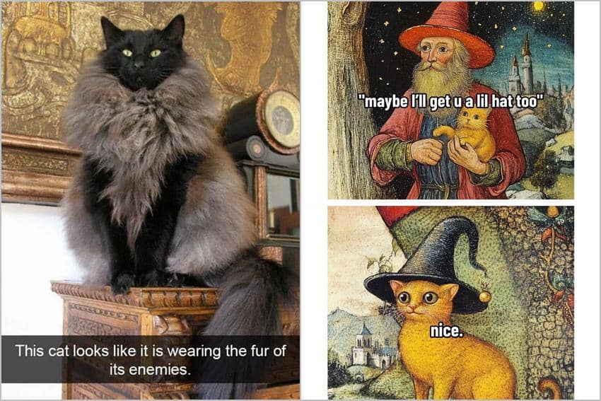 7 Meme Kucing dengan Outfit Nyentrik, Ada yang Pakai Bikini?