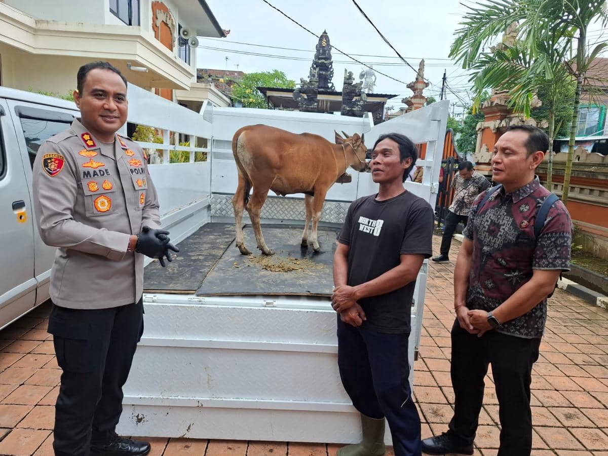Polres Karangasem Kembalikan Ternak Sapi Hasil Curian