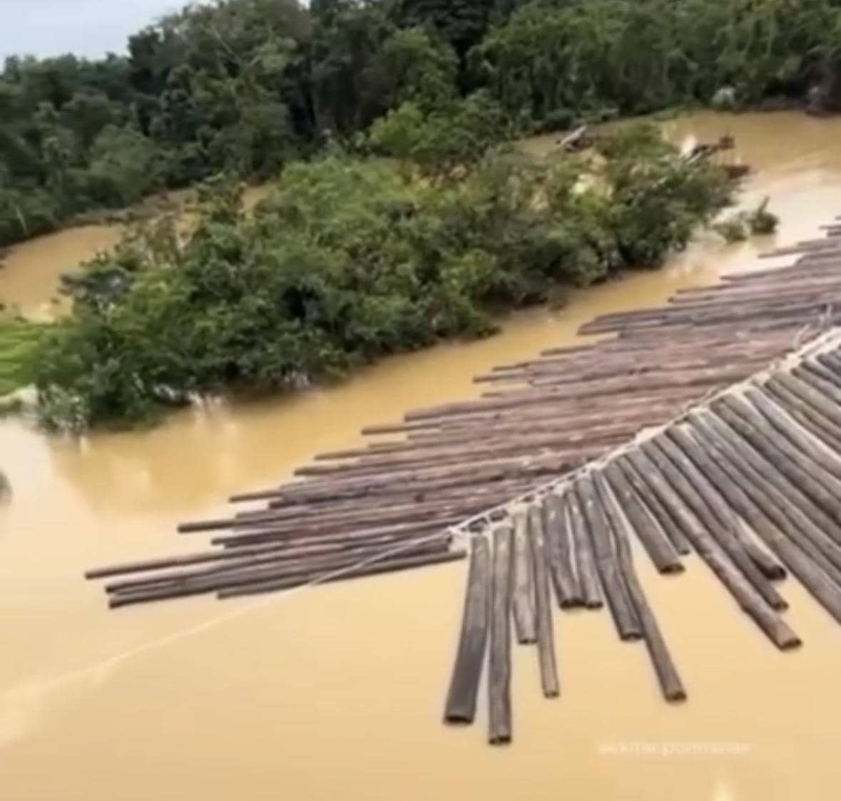 Lokasi kayu gelondongan ternyata bukan di Kalbar.