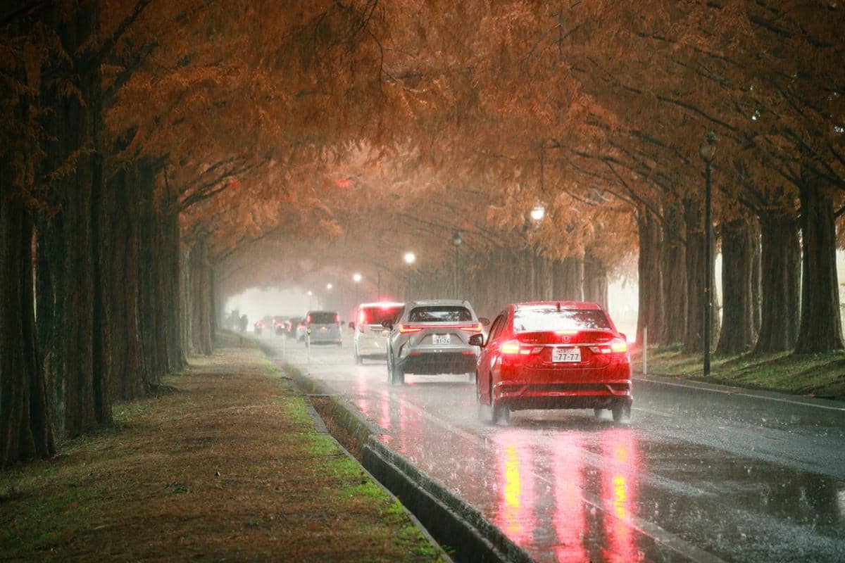  Rute Jakarta Banyuwangi naik mobil