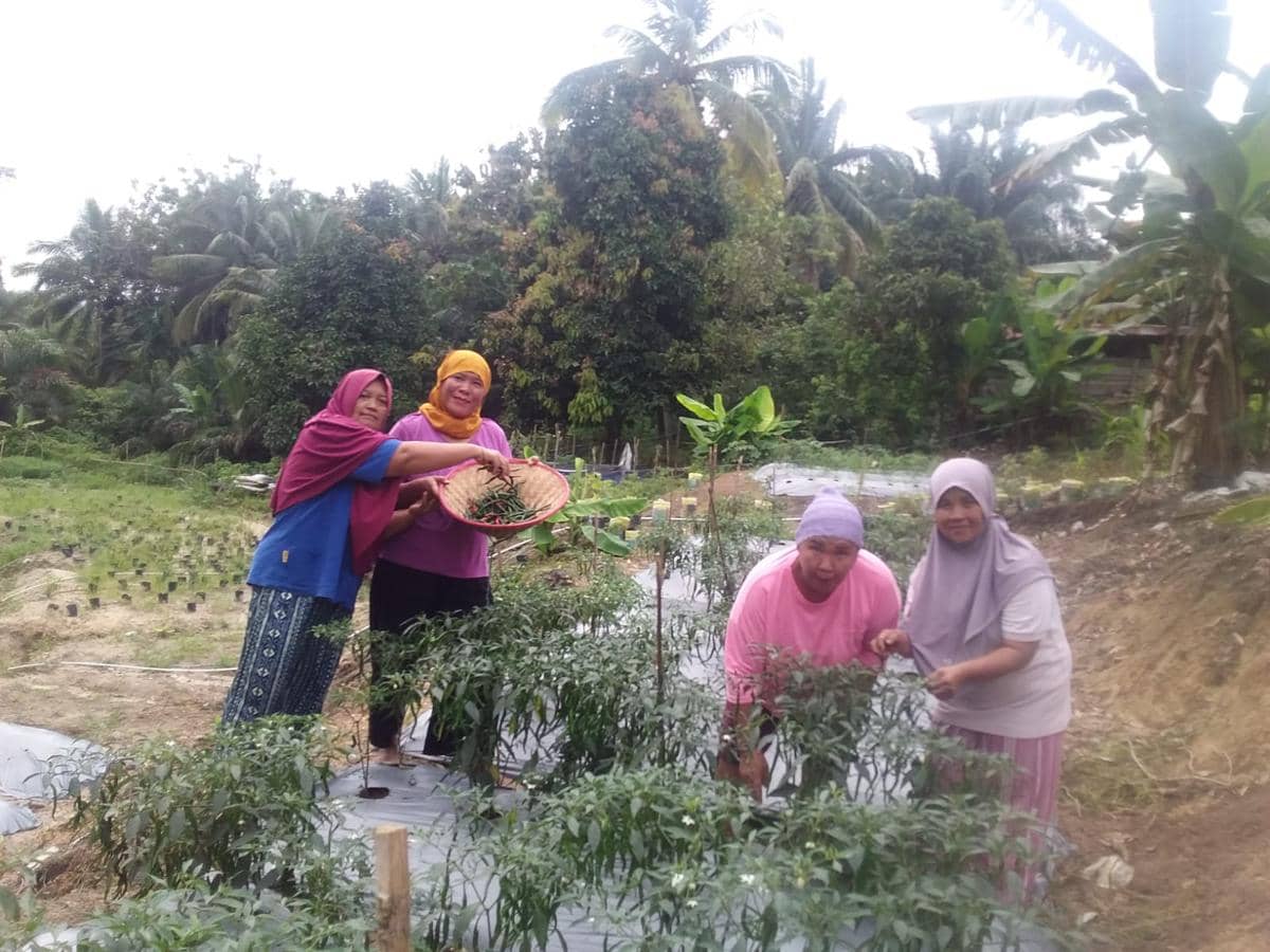 Perempuan Tanjung Karangan Kembangkan Urban Farming Lewat EcoGrow Mom