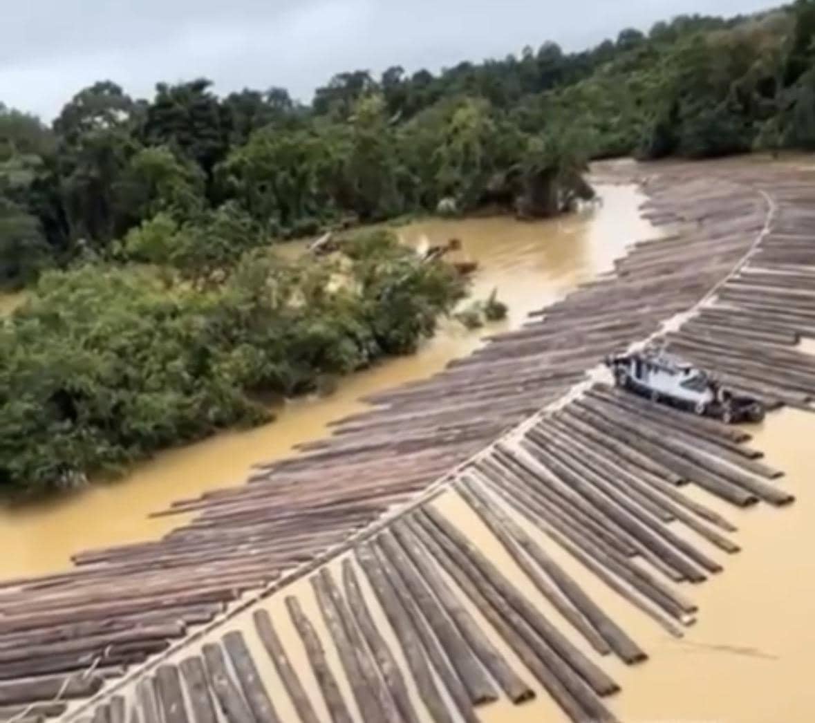 Video Kayu Gelondongan di Sungai Ternyata Terjadi di Kalimantan Tengah