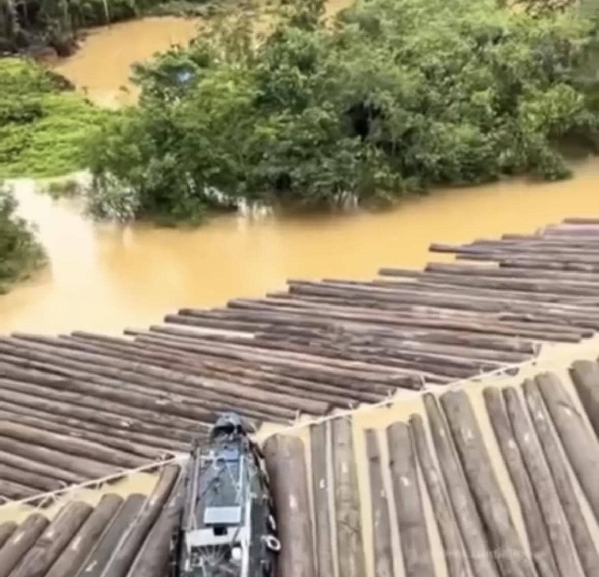 Viral video kayu gelonggongan mengapung di sungai.
