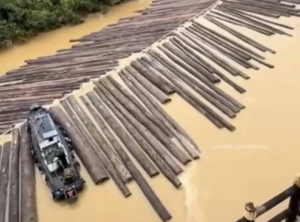 Ratusan kayu gelonggongan mengalir di sungai.