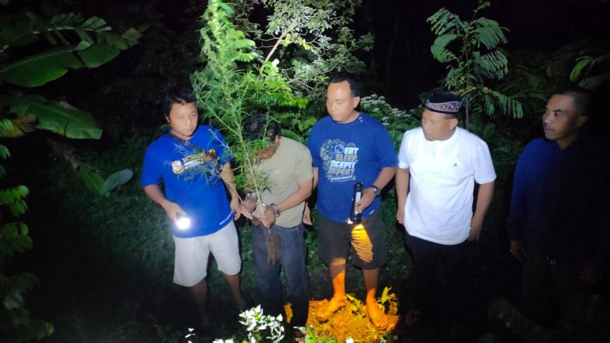 Tanam Ganja Dalam Pot, Dua Pria di Kediri Ditangkap Polisi