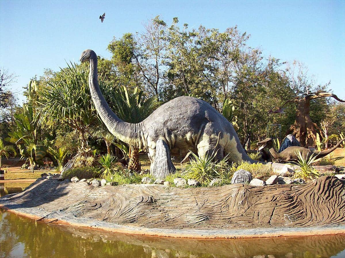 ilustrasi Junglia Okinawa 