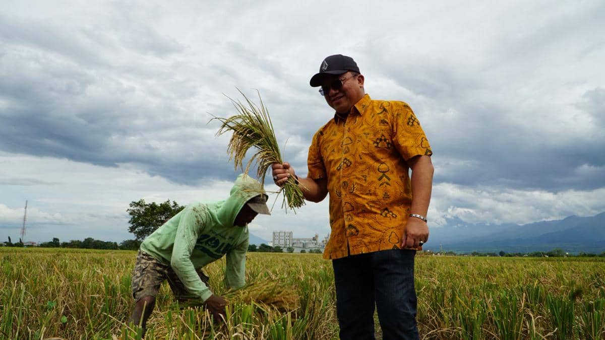 Serapan Beras Bulog di Jatim Capai 200 Ribu Ton