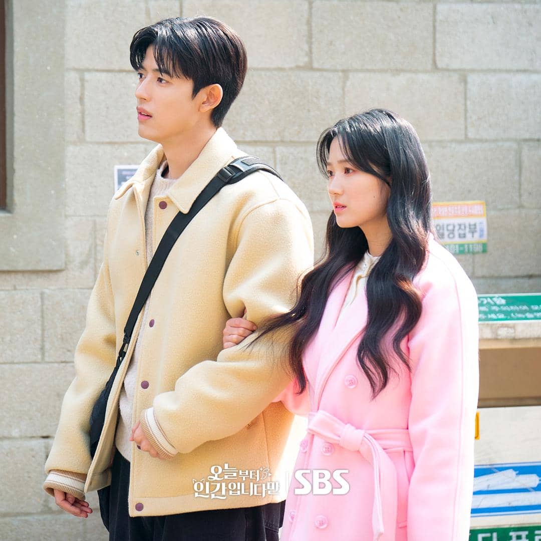 cuplikan drama No Tail To Tell