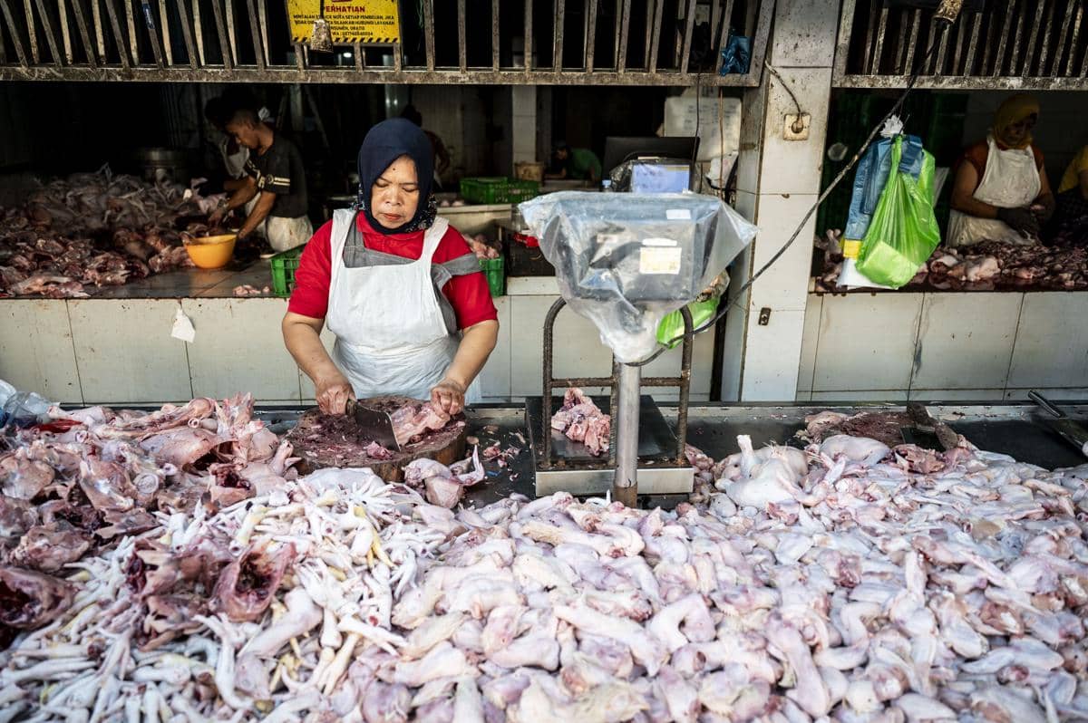 Pedagang memotong daging ayam ayam ras pesanan pembeli di Pasar Pasar Peterongan, Semarang, Jawa Tengah. (ANTARA FOTO/Aprillio Akbar)