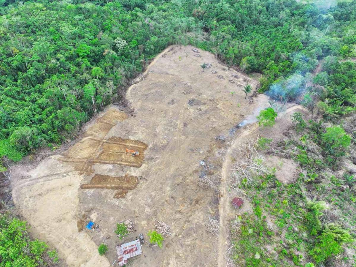 Perambahan hutan produksi di Kabupaten Wajo, Sulawesi Selatan. Dok. Gakkumdu Balai Gakkum Kehutanan Wilayah Sulawesi bersama Unit Pelaksana Teknis Daerah Kesatuan Pengelolaan Hutan (UPTD KPH) Awota