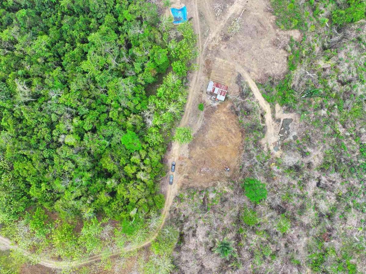 Balai Gakkum Kehutanan Ungkap Perambahan 9 Hektare Hutan di Wajo