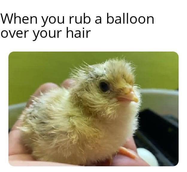 meme kocak tentang balon