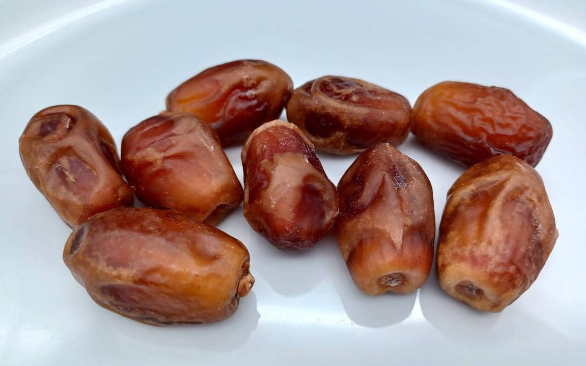 Kurma zahidi