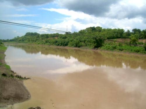 Kondisi Sungai Bengawan Solo dengan air keruh dan tepi sungai dipenuhi vegetasi.
