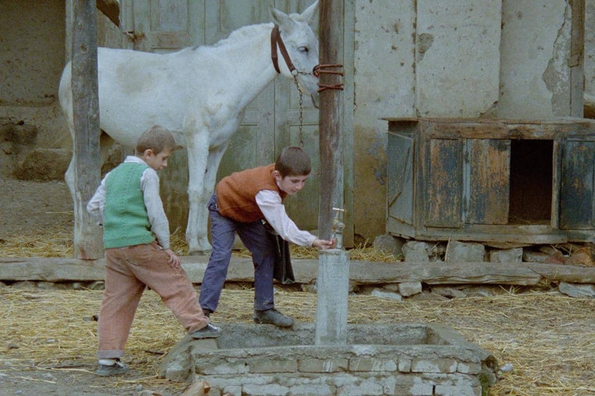 Where Is the Friend's House?