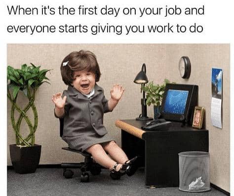 meme pekerjaan baru